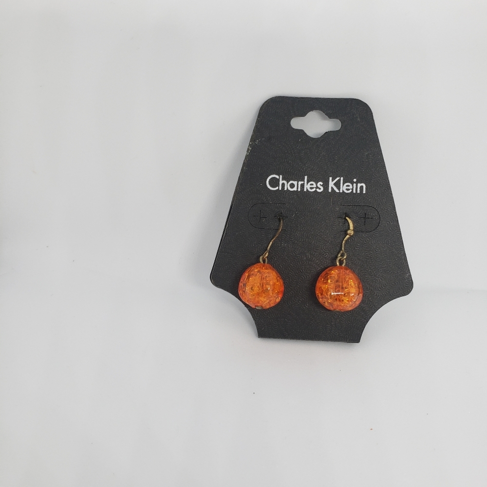 Charles Klein Earrings NWT